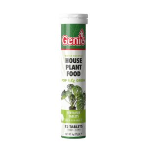 House Plant Food Water Soluble Fertilizer Tablets 12 Tablets per Tube 1 tablet makes 5 litres